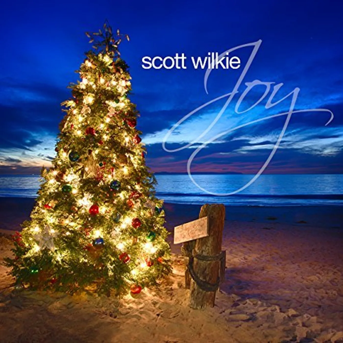 Scott Wilkie JOY CD
