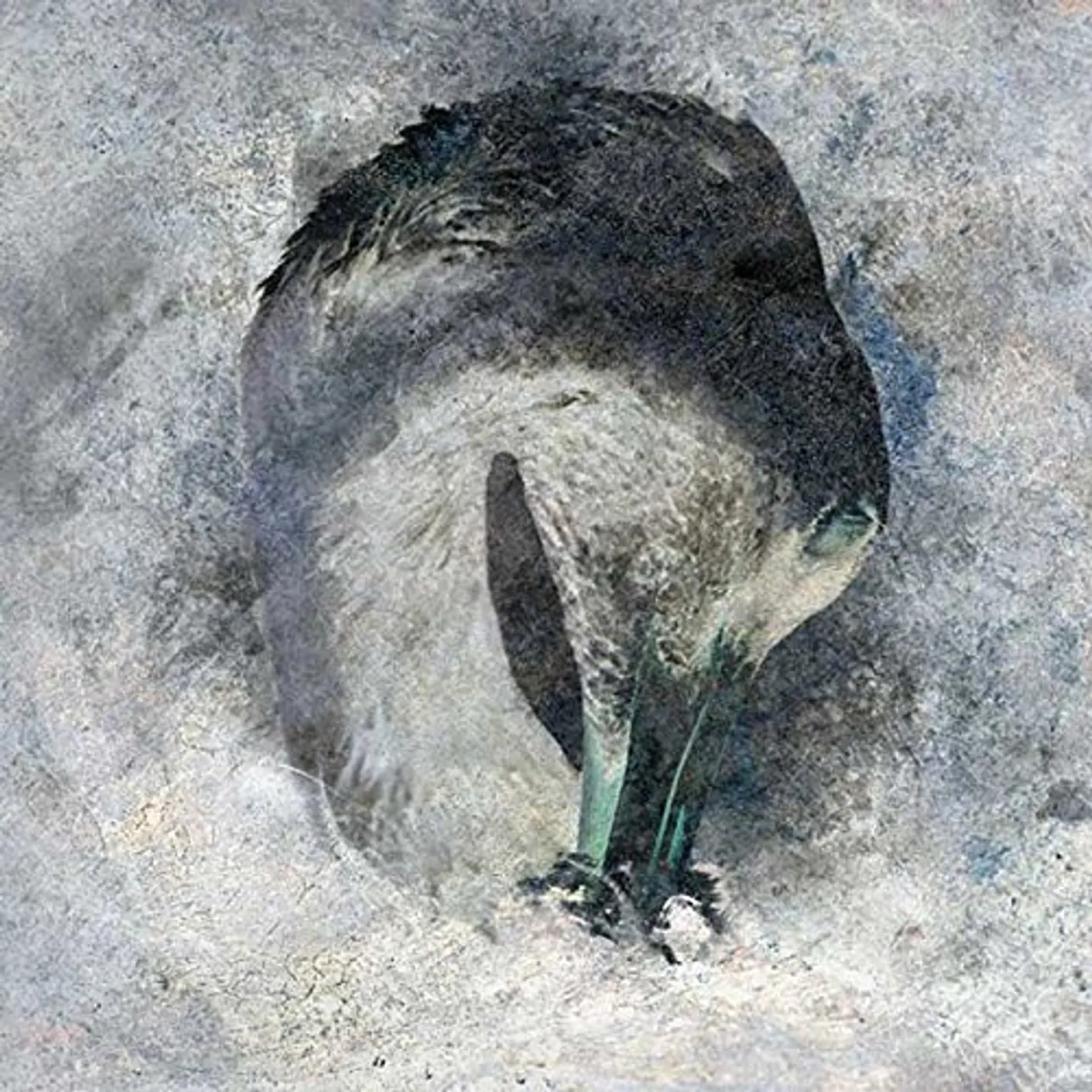 Suma ASHES CD