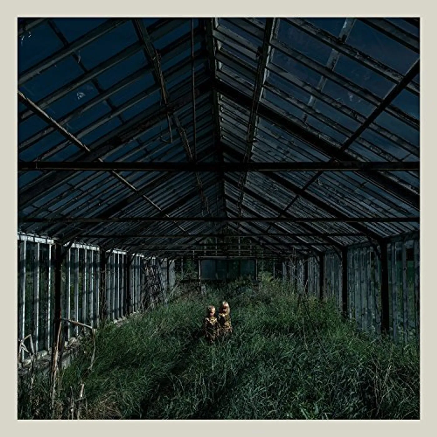 Foxing Dealer Vinyl Record