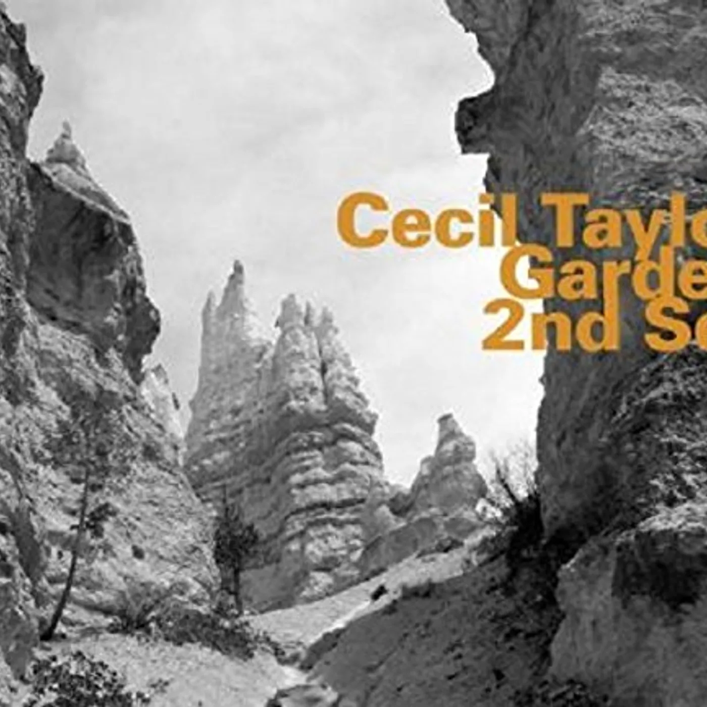 Cecil Taylor GARDEN VOL. 2 CD