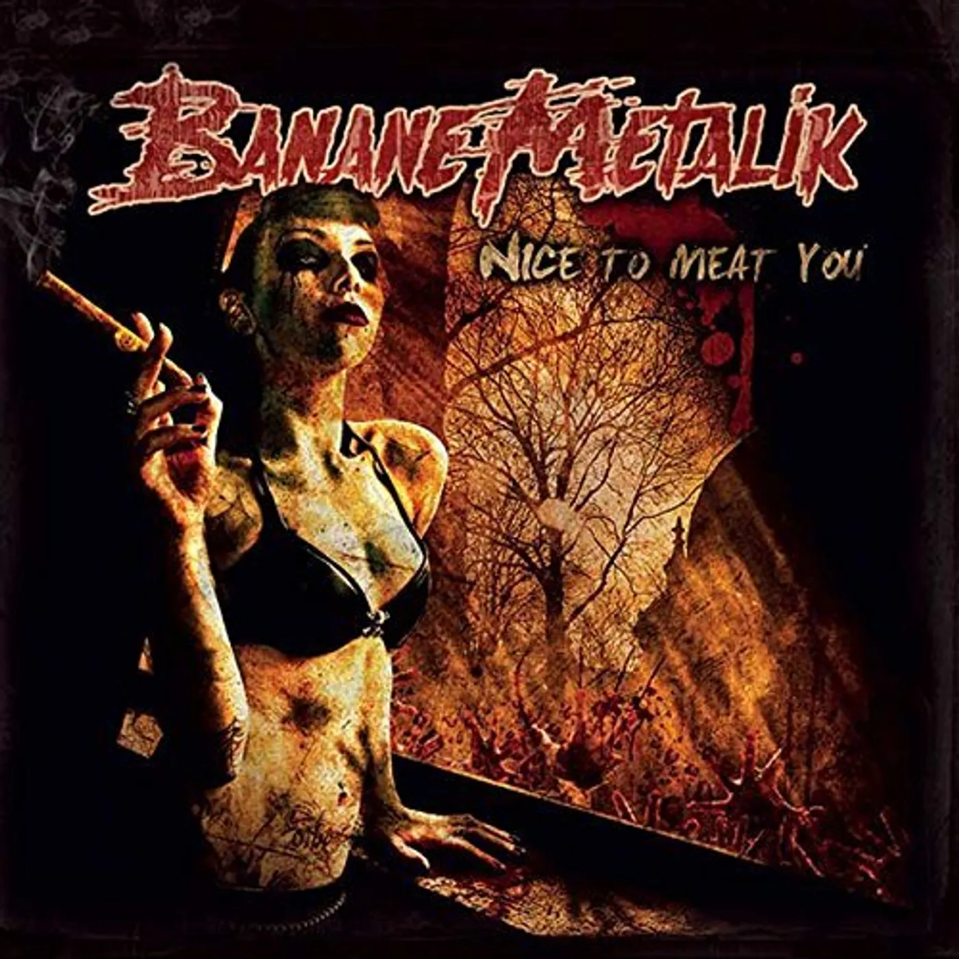 Banane Metalik Nice To Meat You Vinyl Record