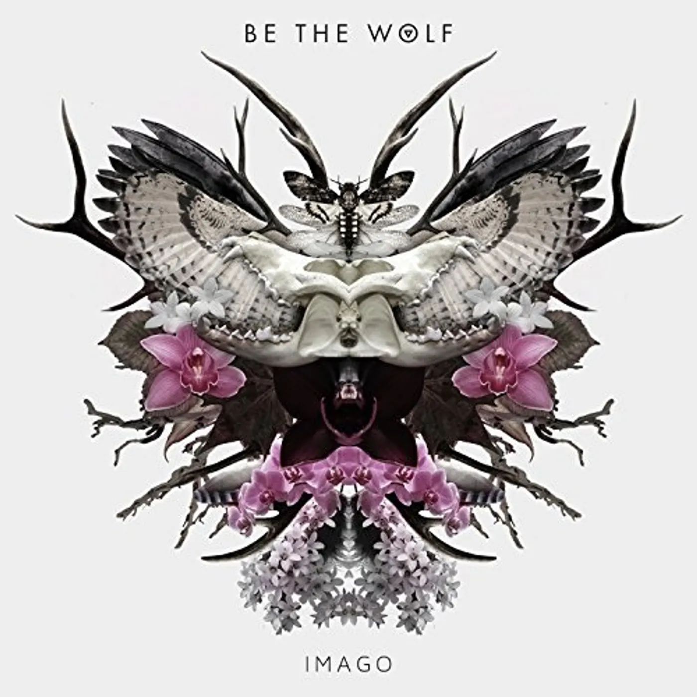 Be the Wolf IMAGO CD