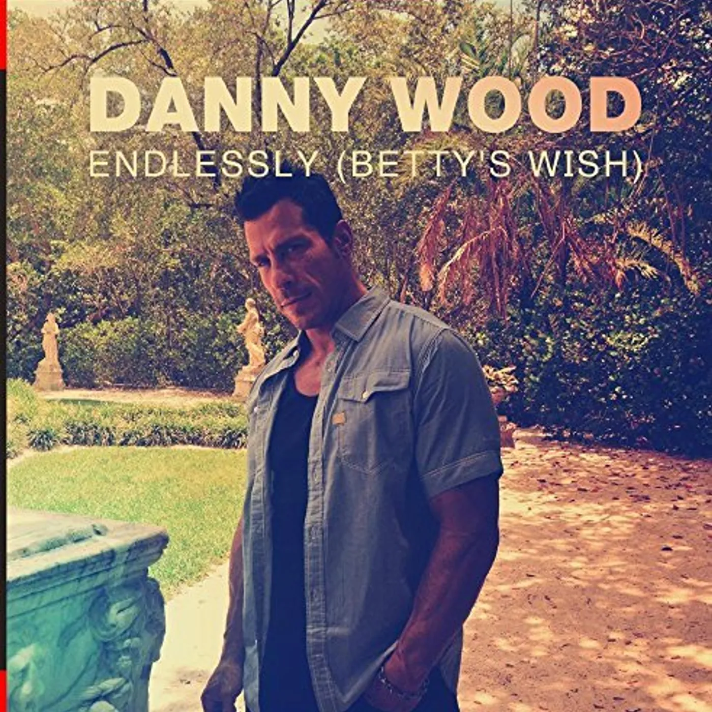 Danny Wood ENDLESSLY (BETTY'S WISH) CD