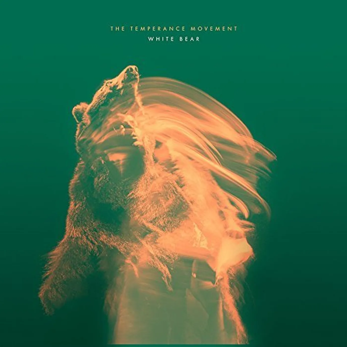 The Temperance Movement White Bear Vinyl Record