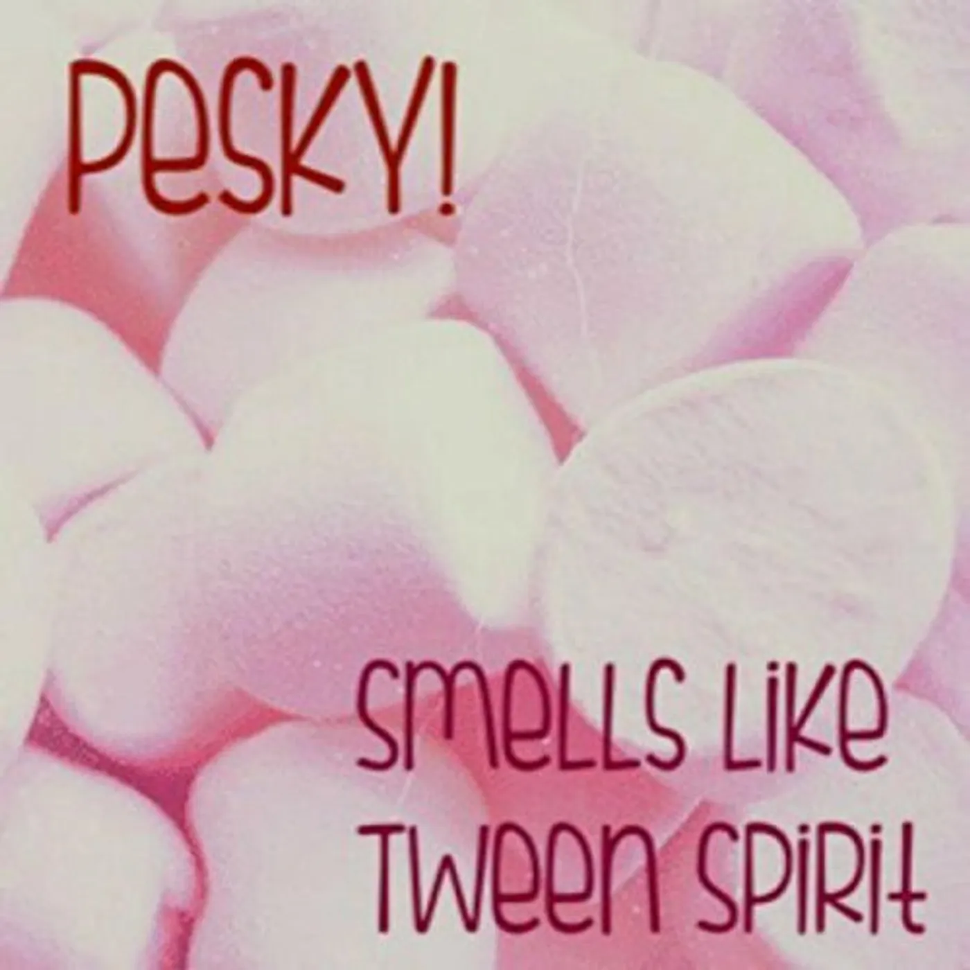 Pesky SMELLS LIKE TWEEN SPIRIT CD