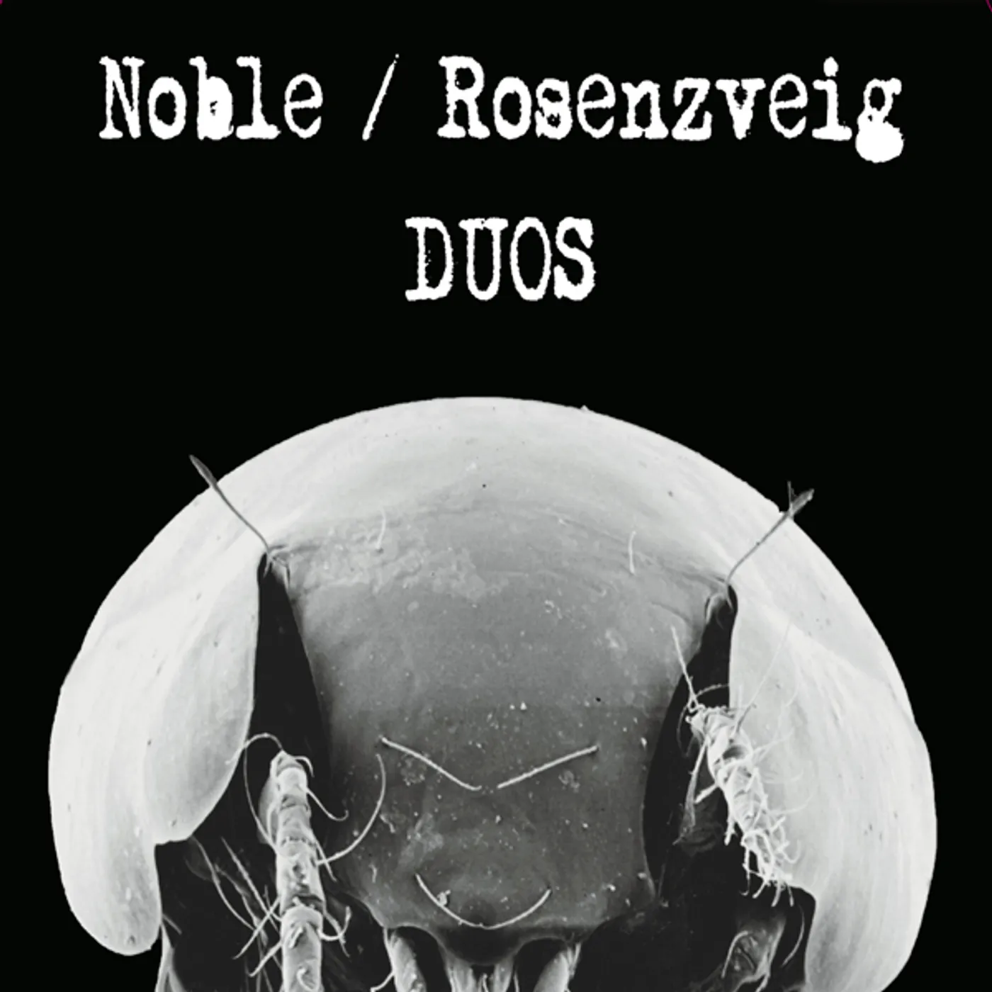 Noble Duos Vinyl Record