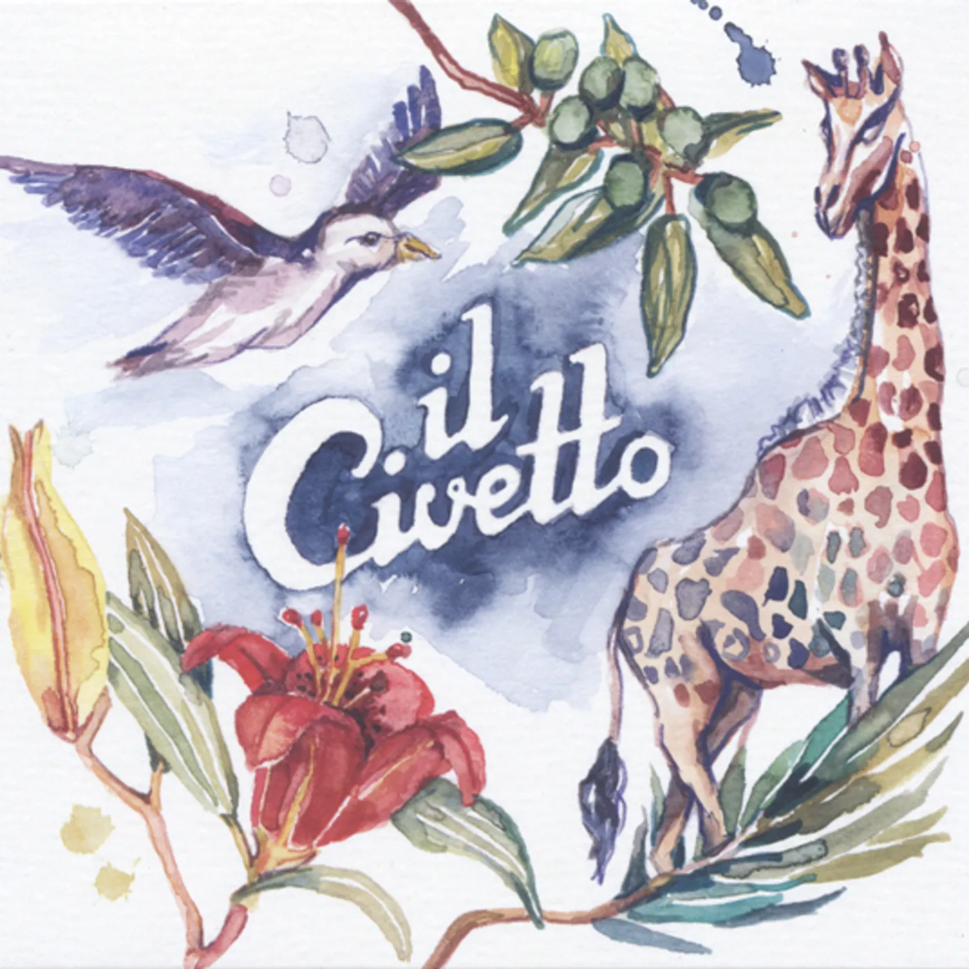 IL CIVETTO CD