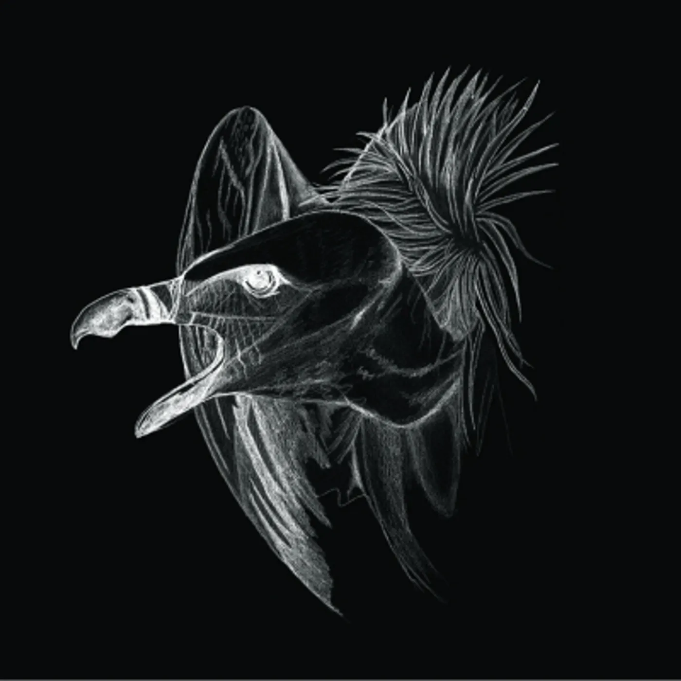 Buried At Sea Migration Vinyl Record