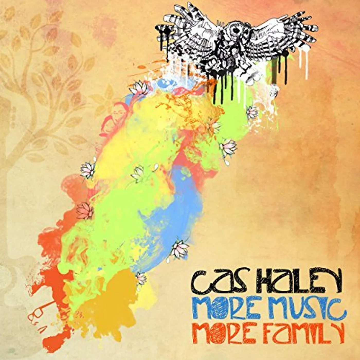Cas Haley MORE MUSIC MORE FAMILY CD