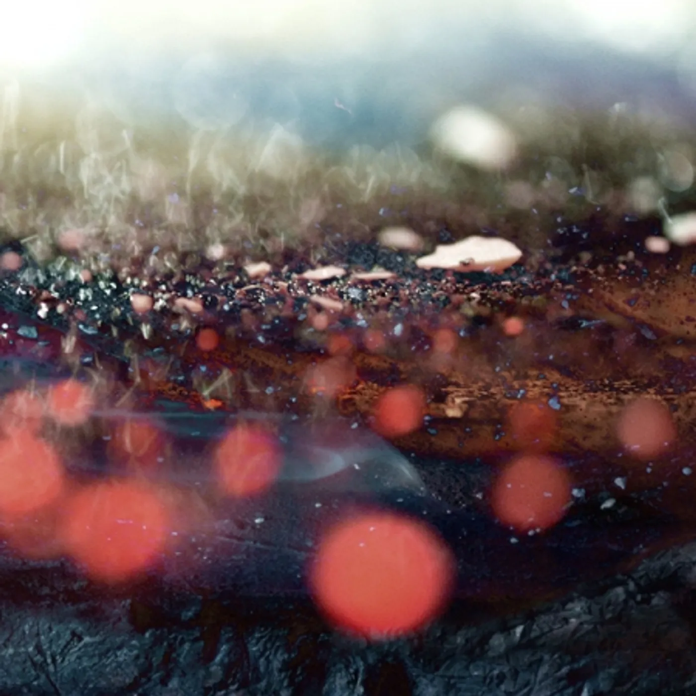 Leafcutter John Resurrection Vinyl Record