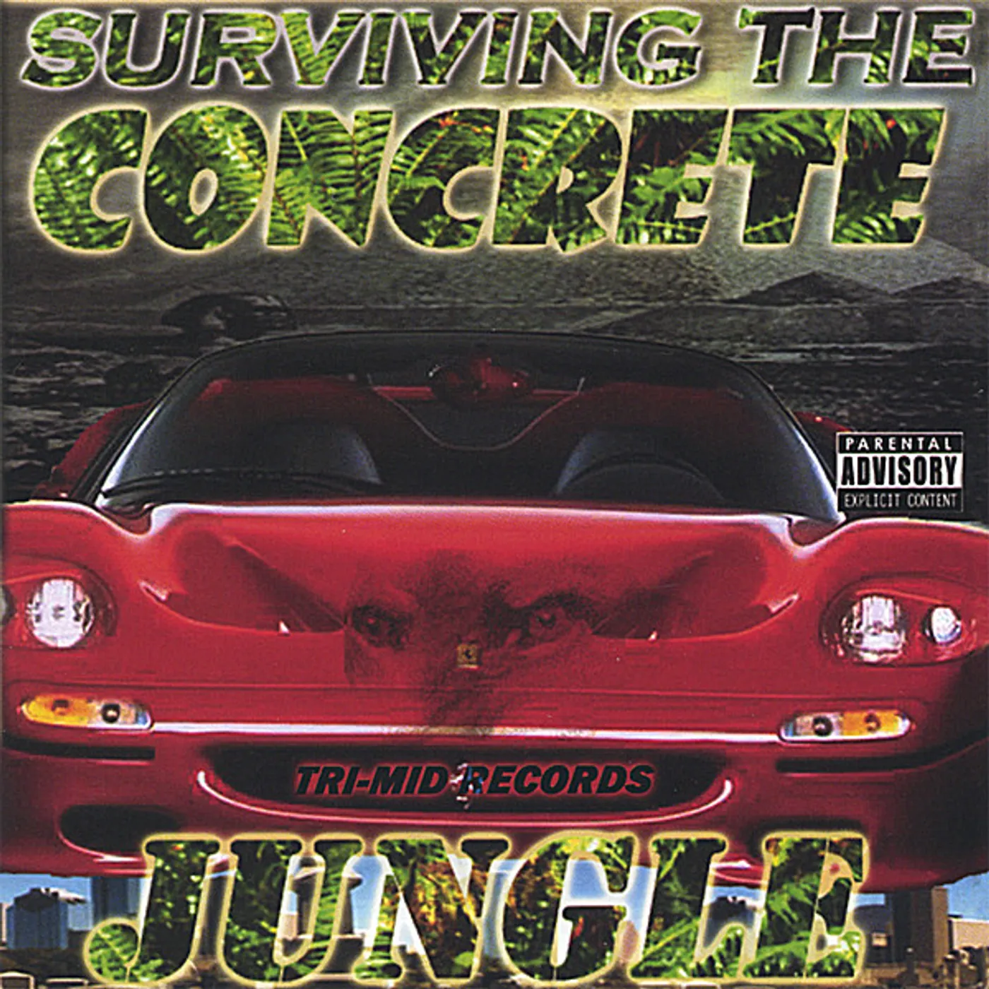 Anjel SURVIVING THE CONCRETE JUNGLE CD