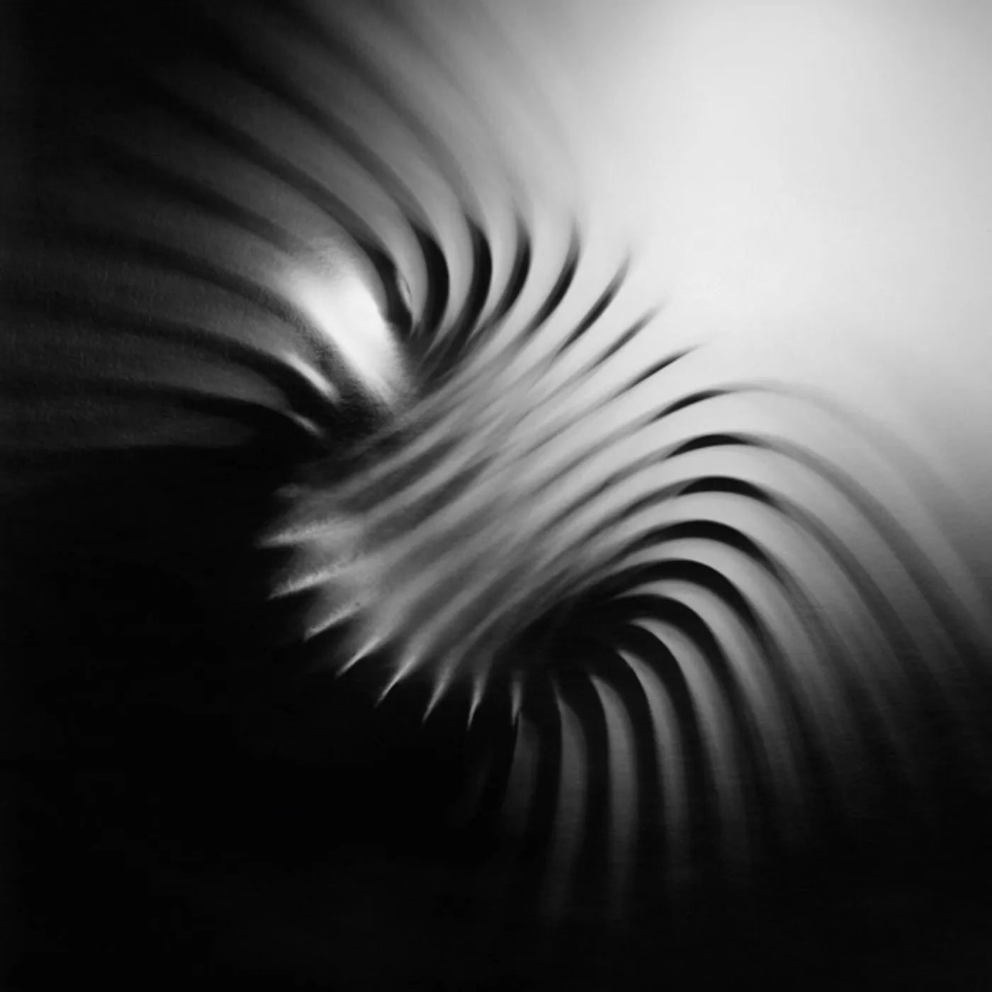 Arash Moori Heterodyne Vinyl Record