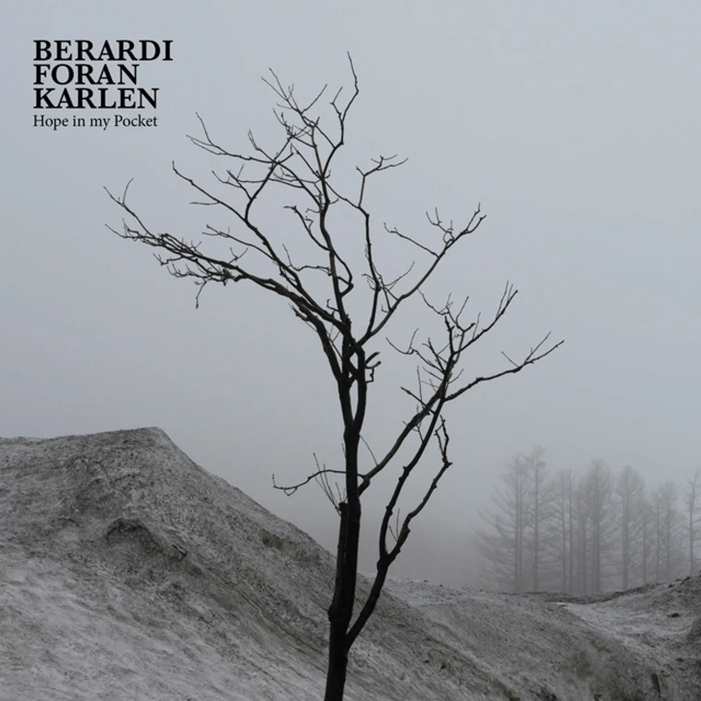 Berardi/Foran/Karlen Hope in My Pocket Vinyl Record
