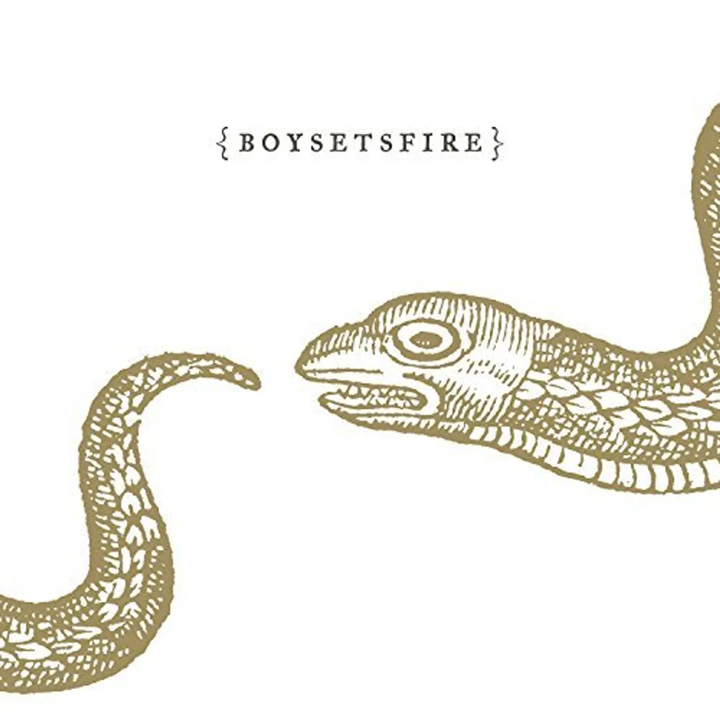 Boysetsfire CD