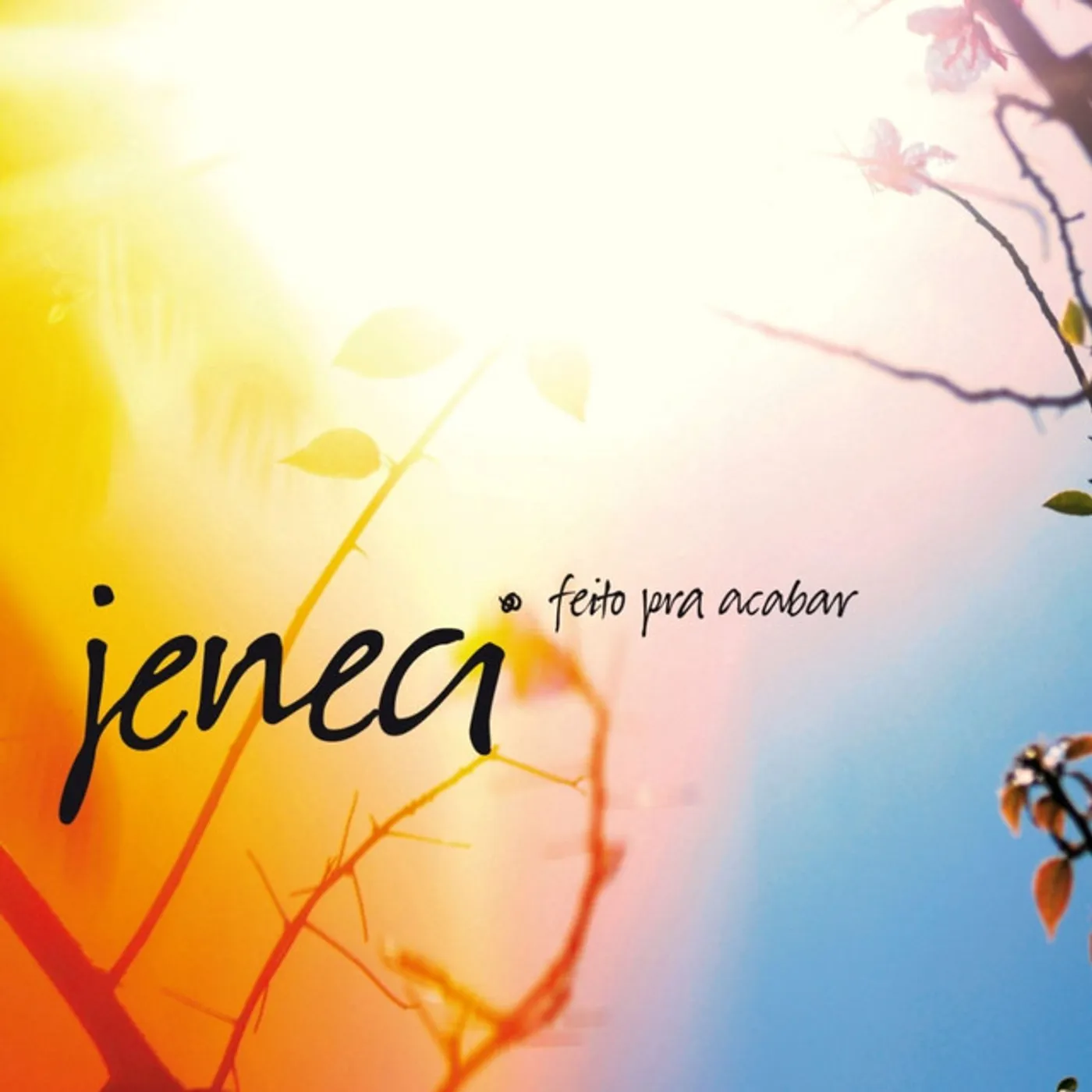 Marcelo Jeneci Feito Pra Acabar Vinyl Record