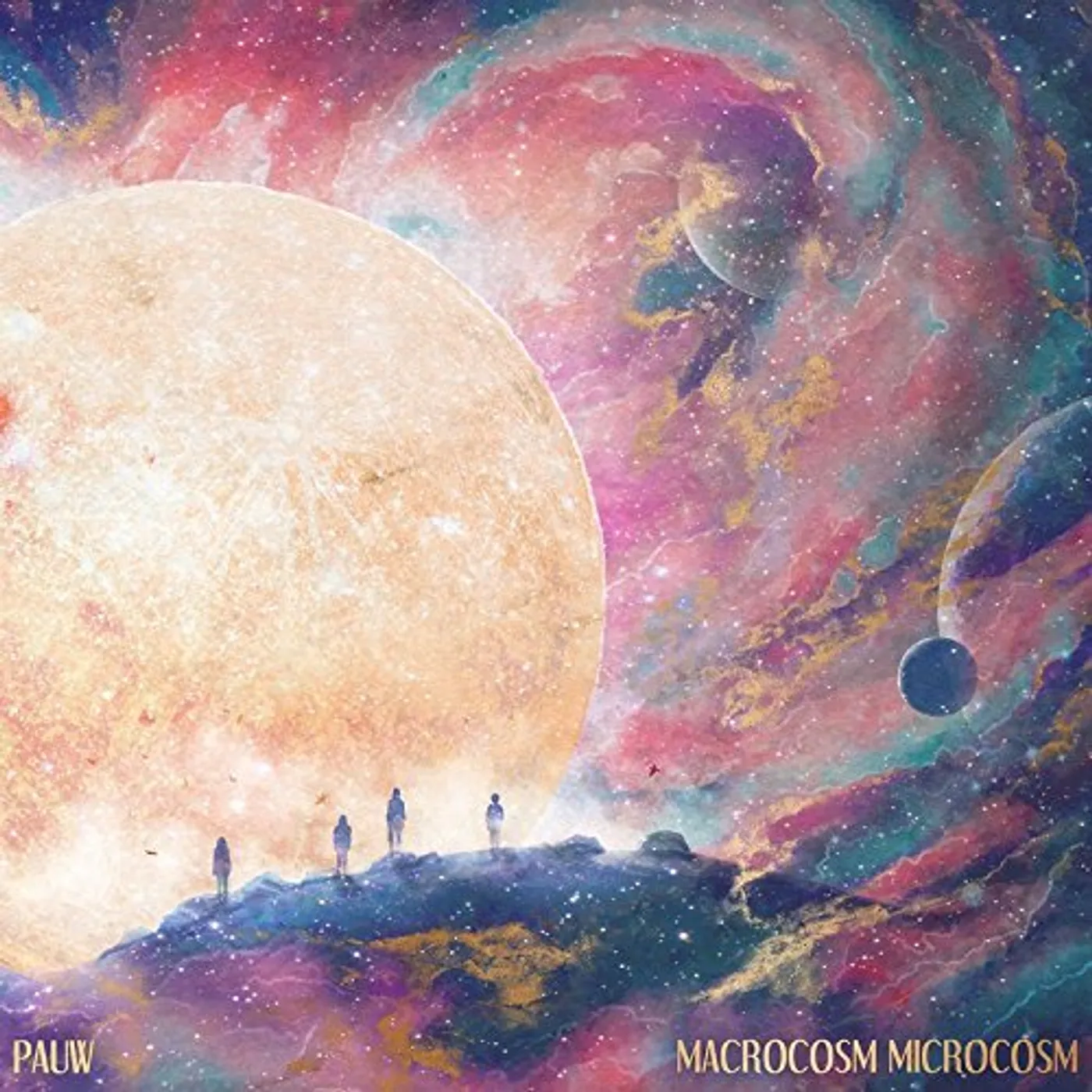 PAUW Macrocosm Microcosm Vinyl Record