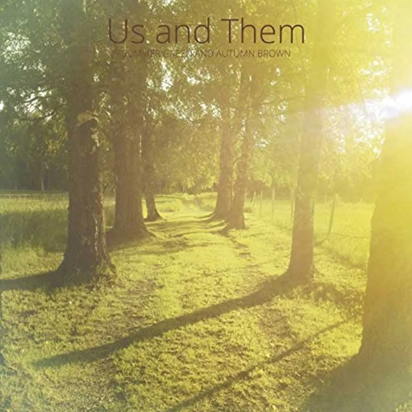 Us & Them Summer Green and Autumn Brown Vinyl Record