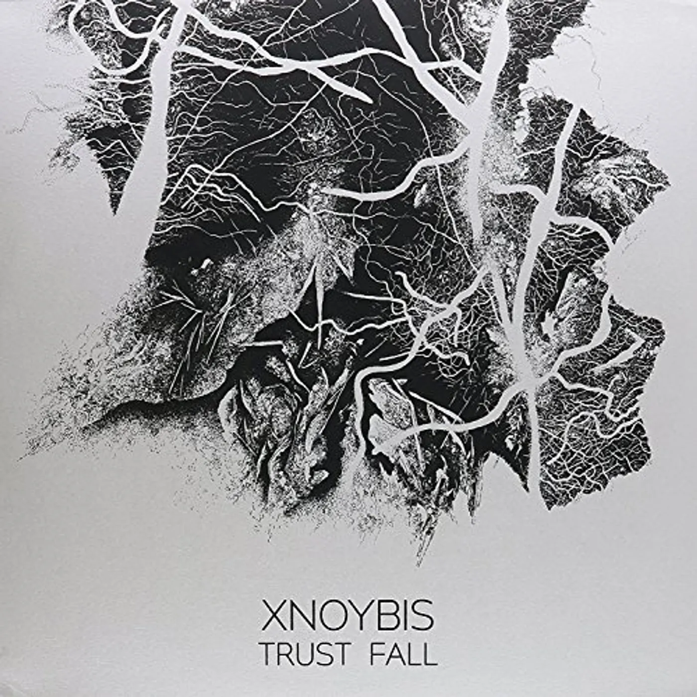 Xnoybis Trust Fall Vinyl Record