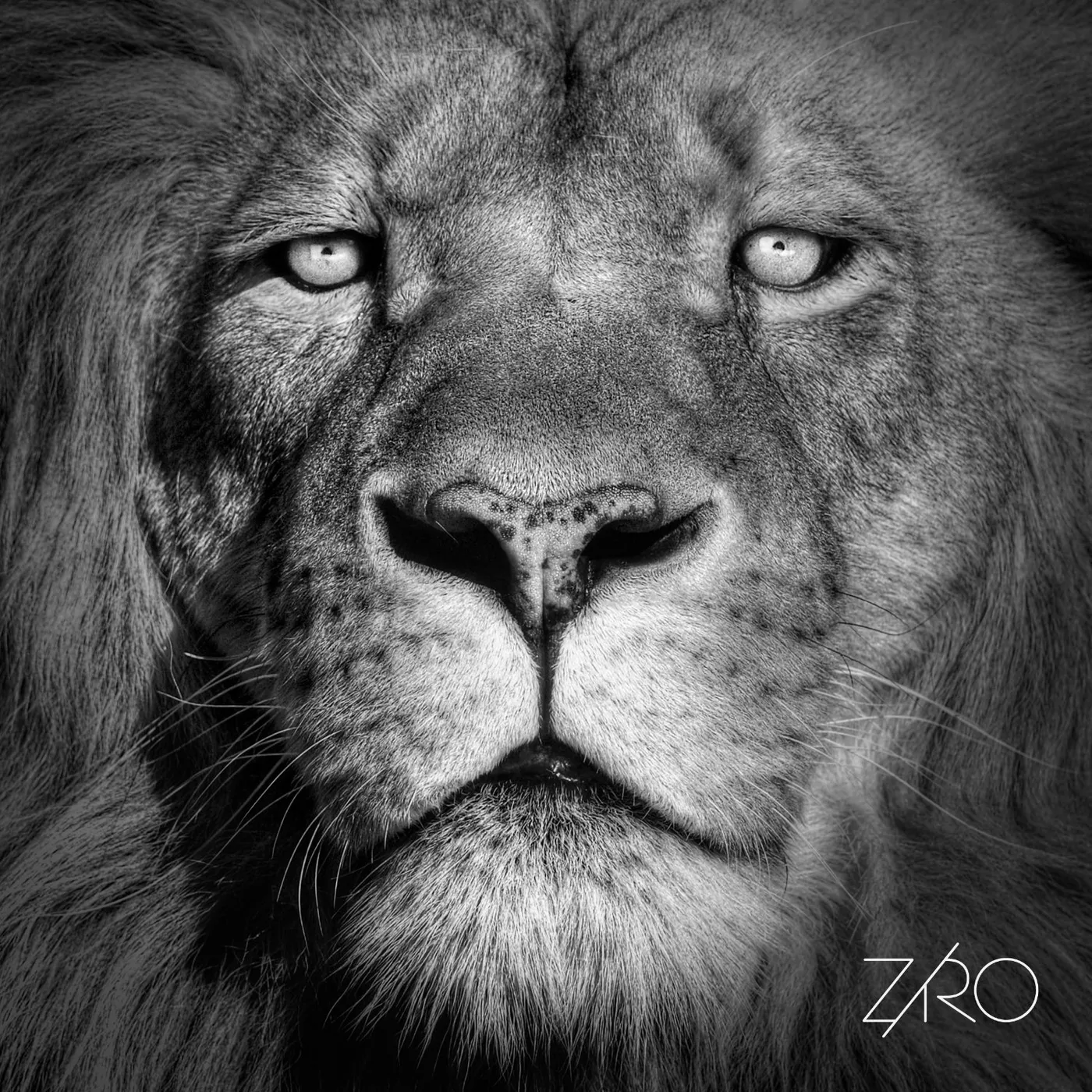 Ziro LIONHEART Vinyl Record