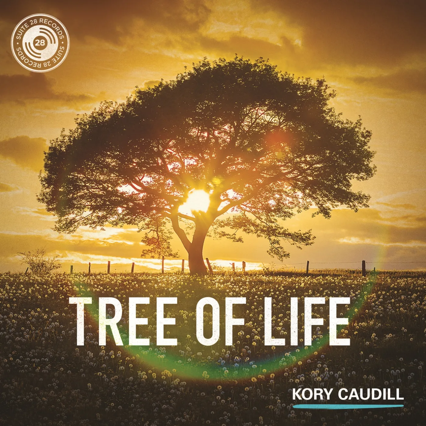 Kory Caudill TREE OF LIFE CD