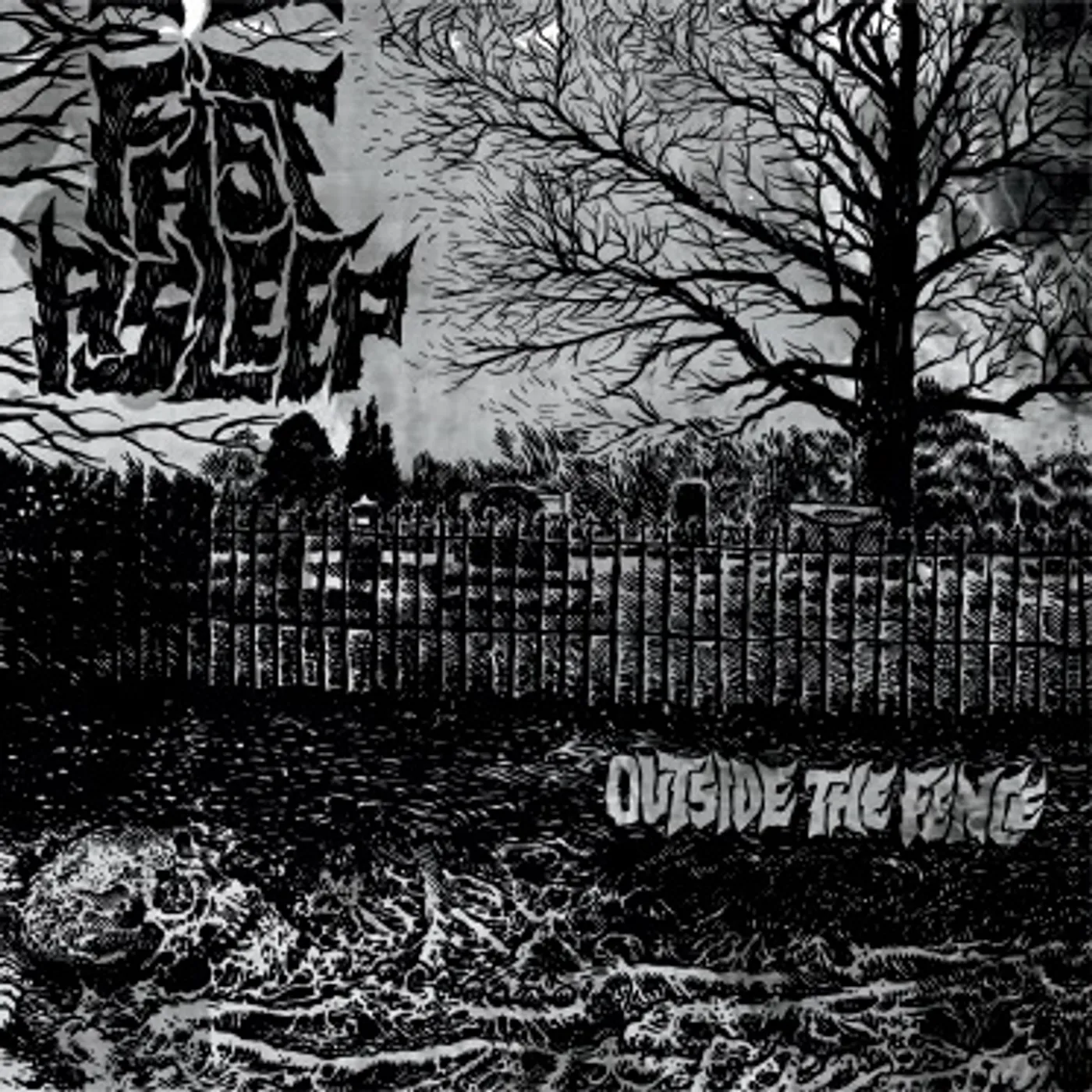 Fast Asleep Outside the Fence Vinyl Record