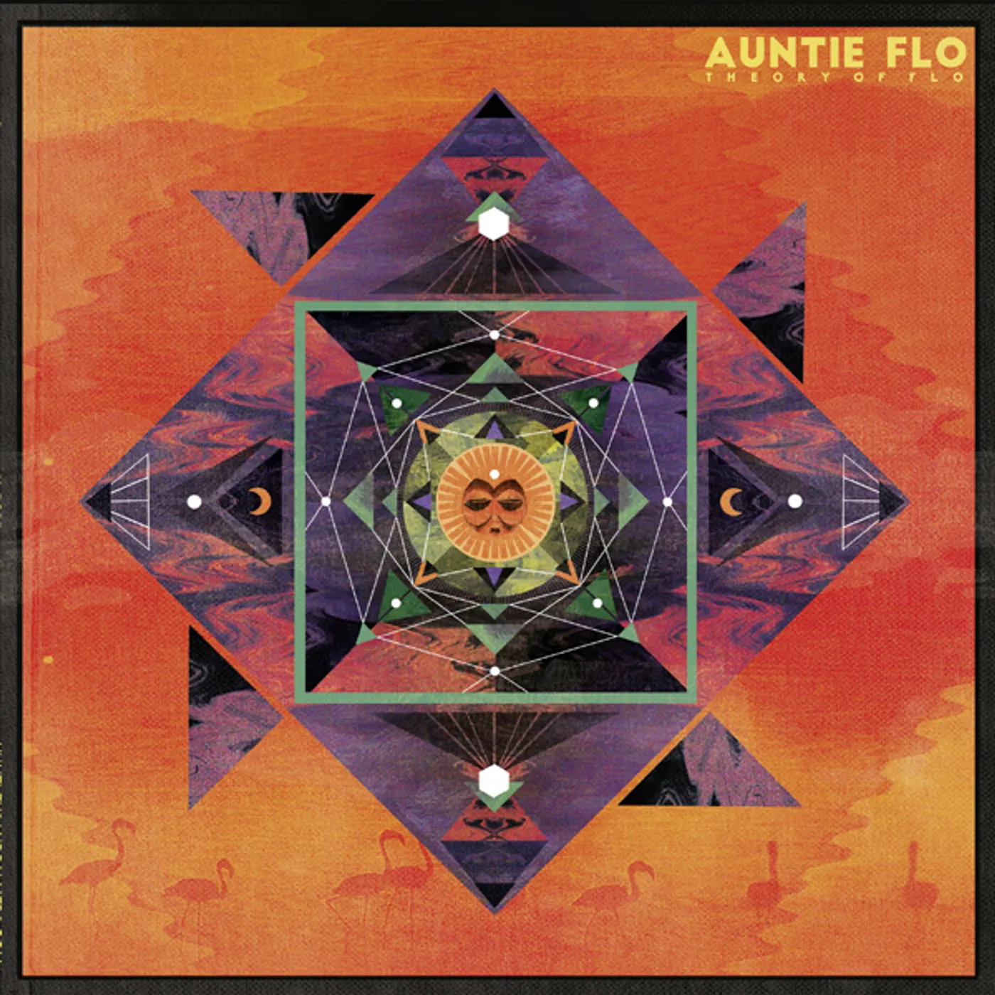 Auntie Flo Theory of Flo Vinyl Record