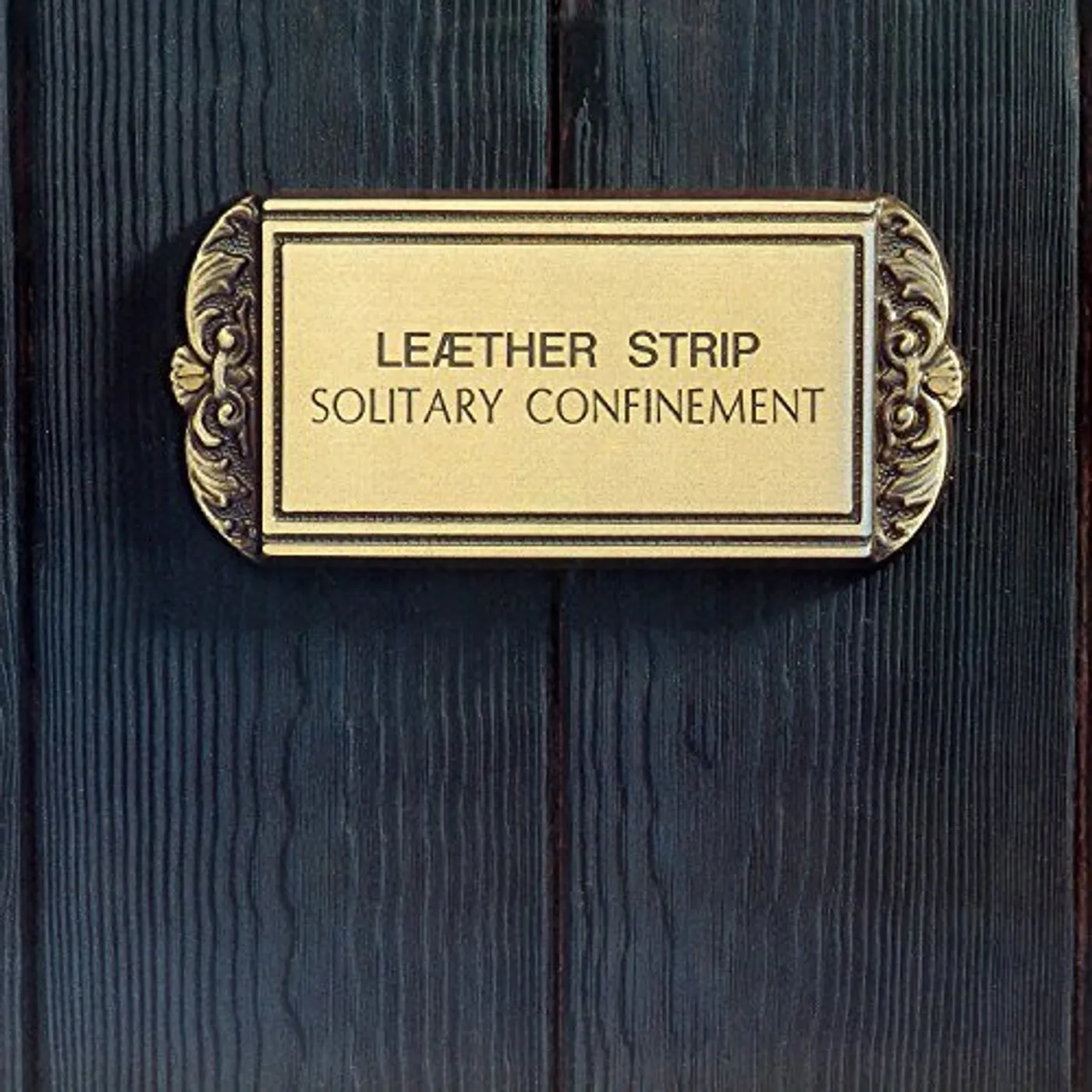 Leather Strip Solitary Confinement Vinyl Record