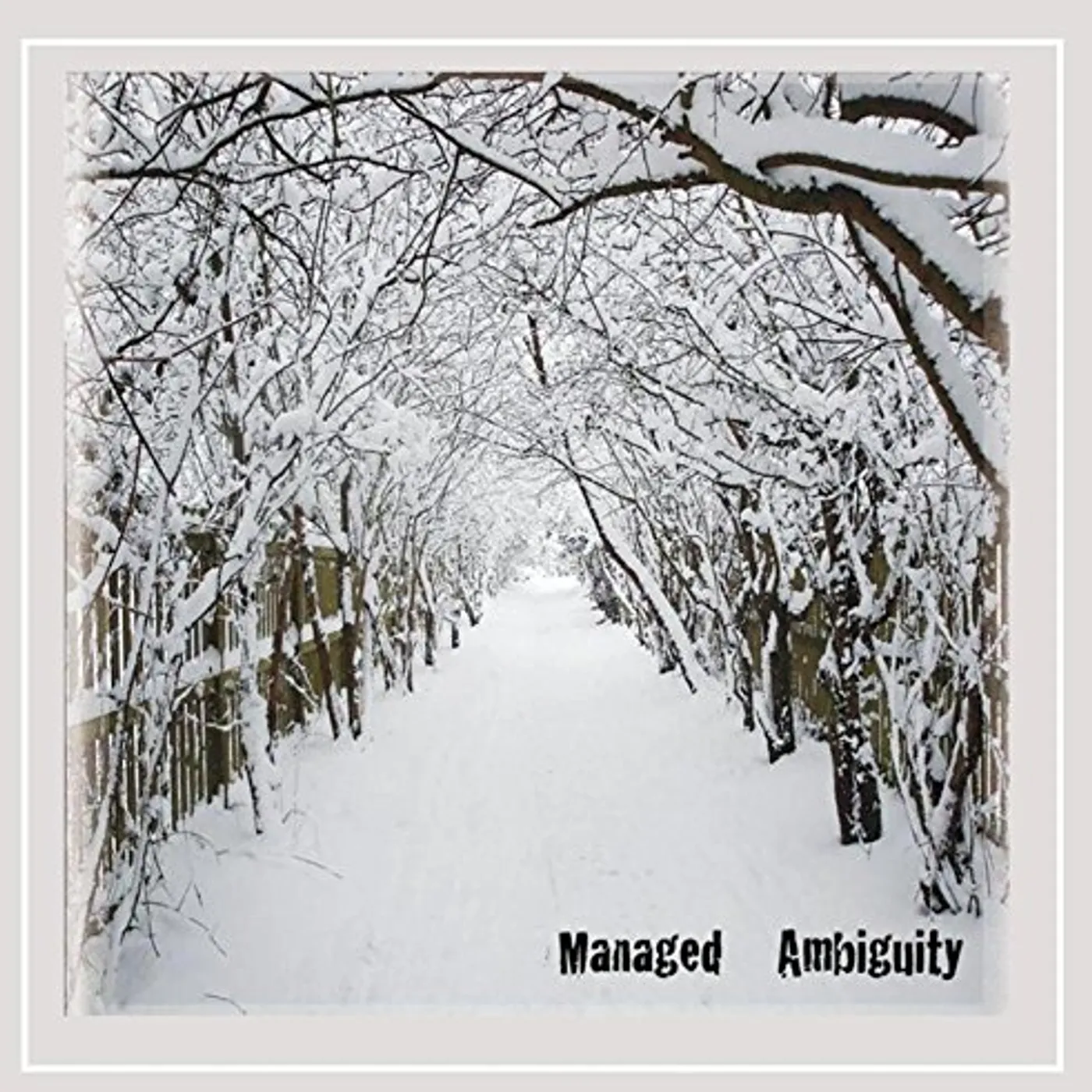 KC Phillips MANAGED AMBIGUITY CD
