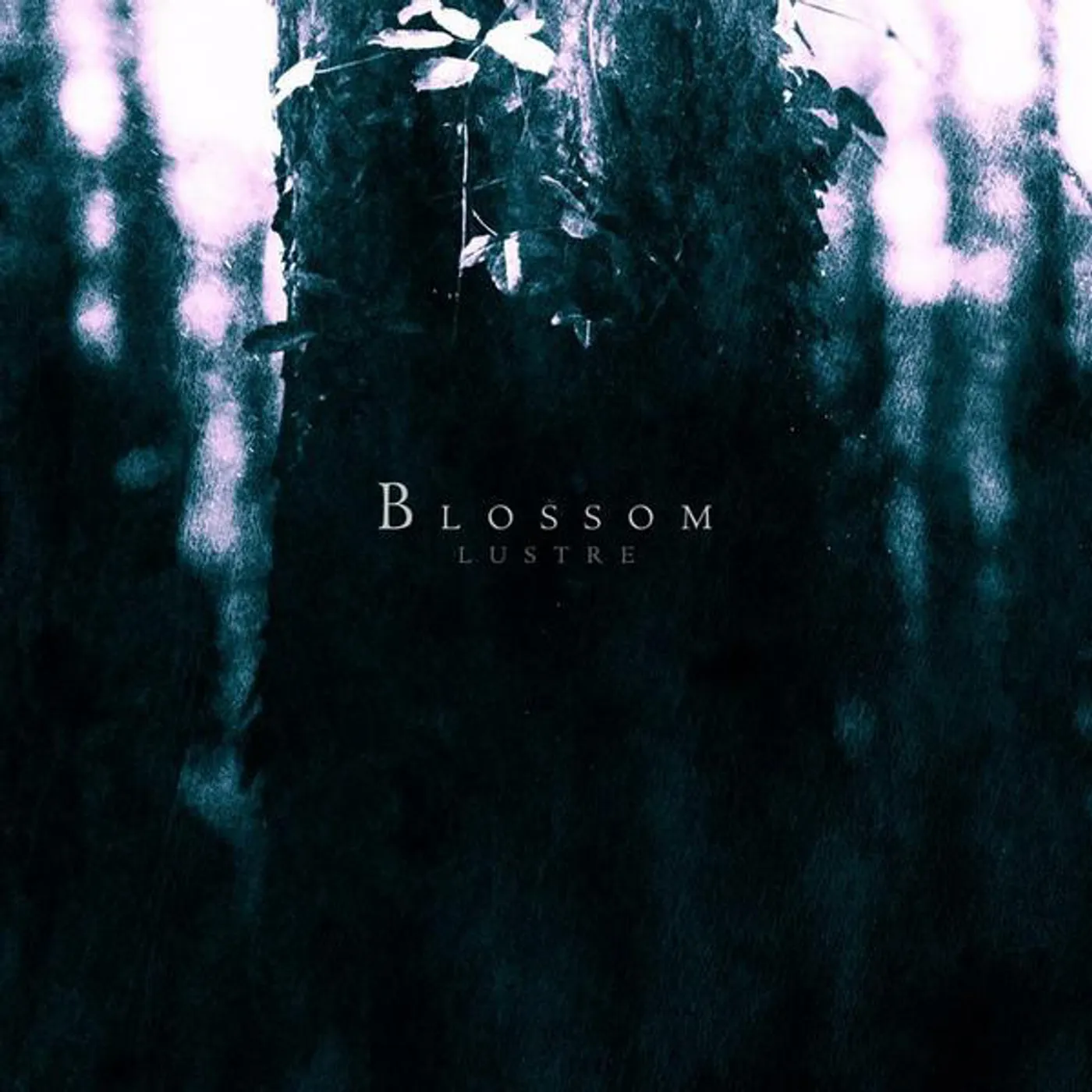 Lustre Blossom Vinyl Record