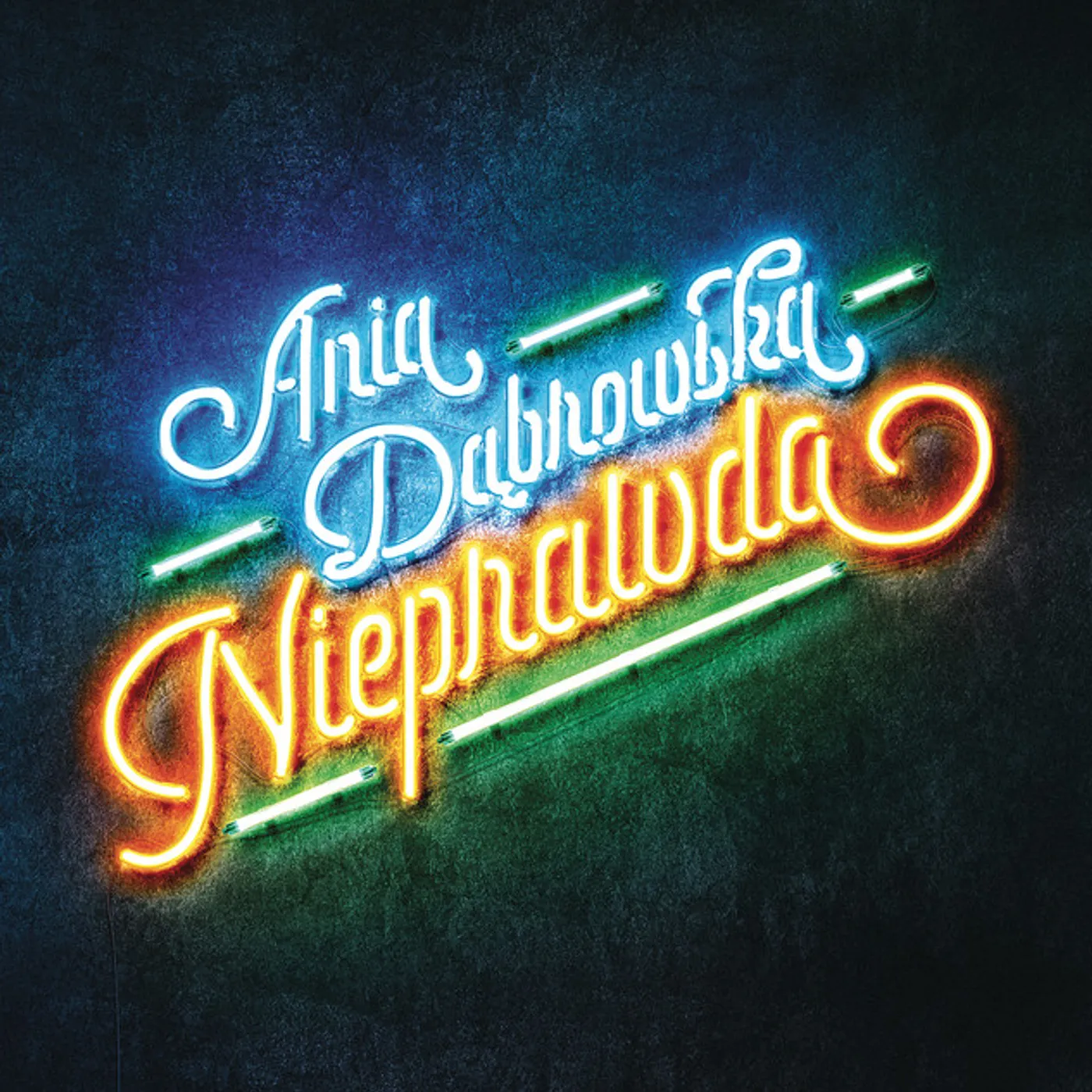 Ania Dąbrowska Nieprawda Vinyl Record