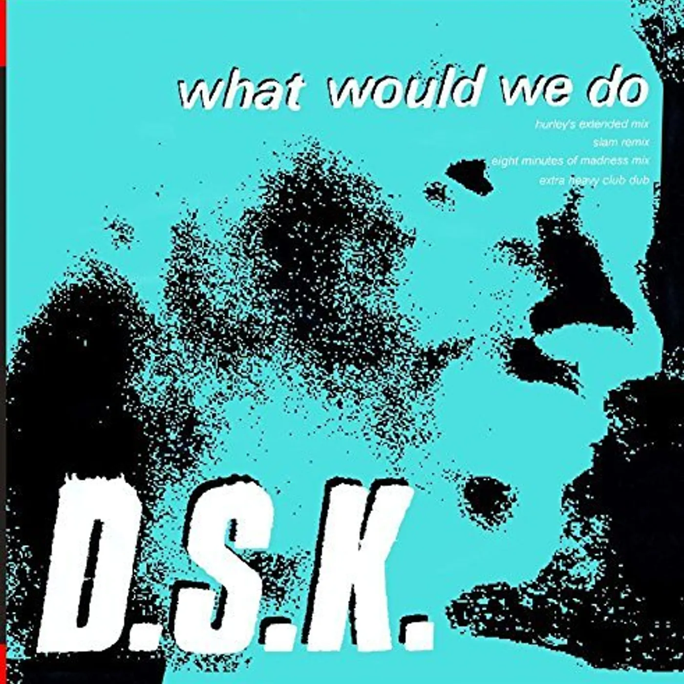 DSK WHAT WOULD WE DO (JUNIOR BOY'S OWN MIXES) CD