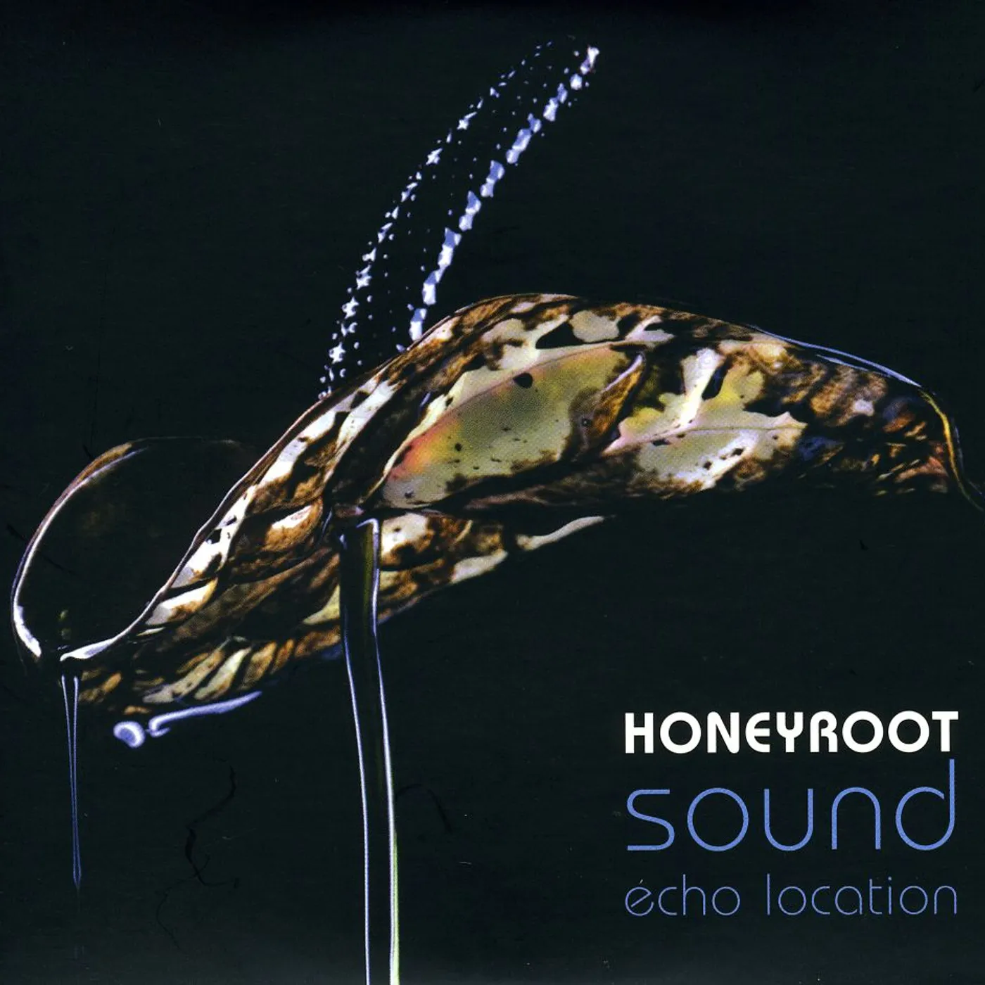 Honeyroot SOUND ECHO LOCATION CD