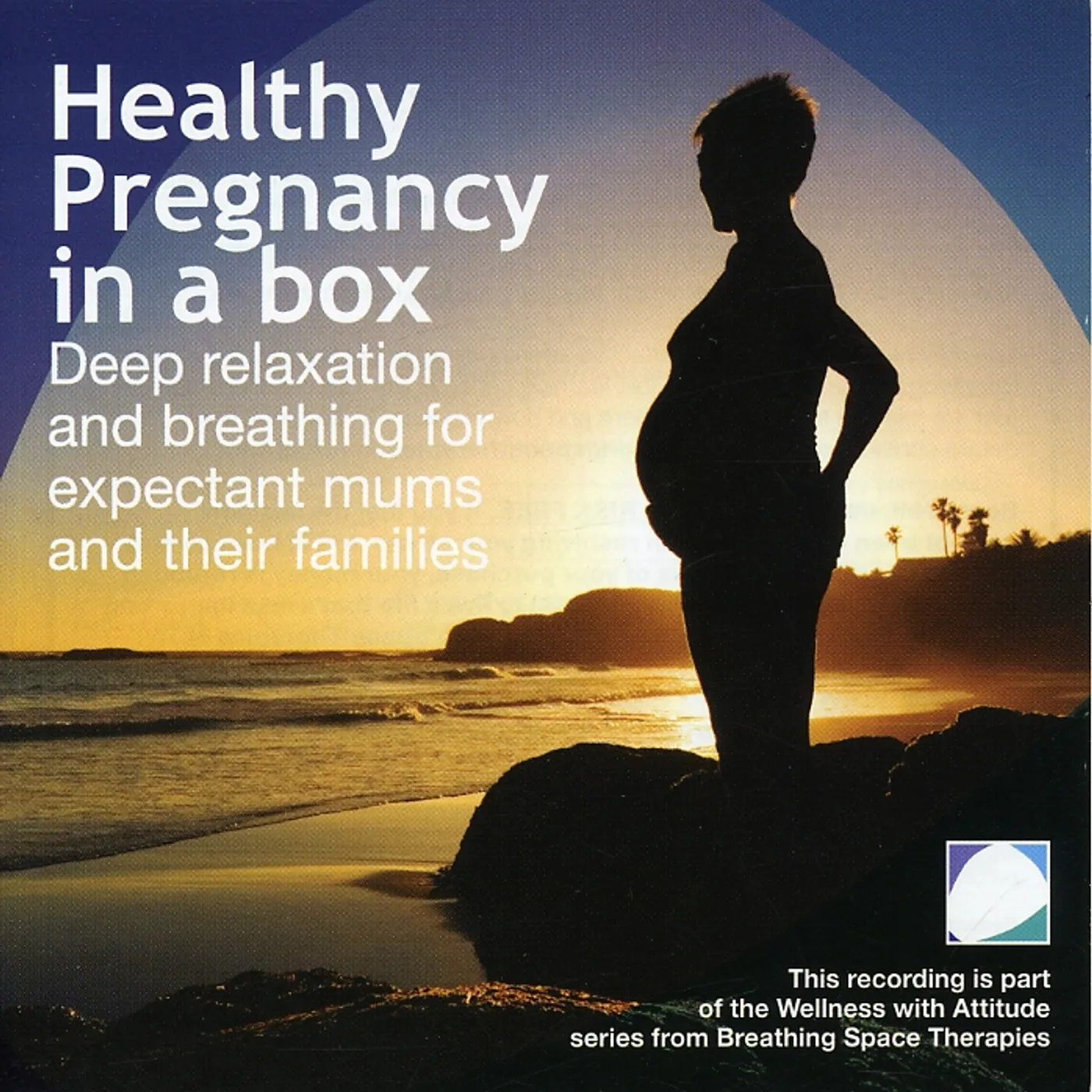 Annie Lawler HEALTHY PREGNANCY IN A BOX CD