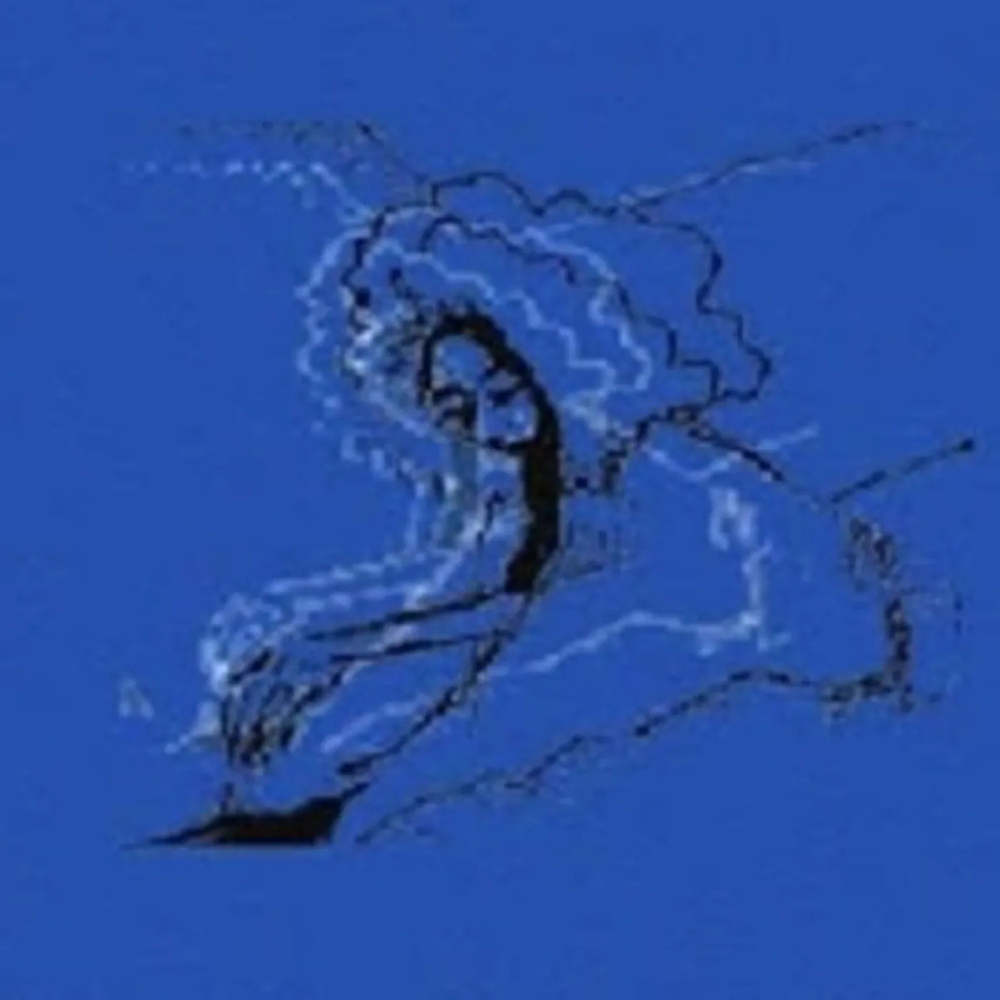 Polar Bear DIM LIT CD