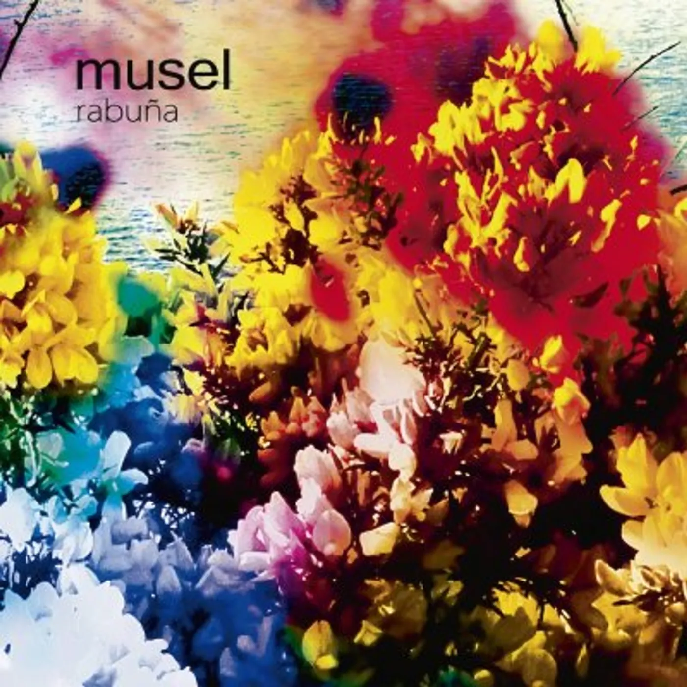 Musel REBUNA Vinyl Record