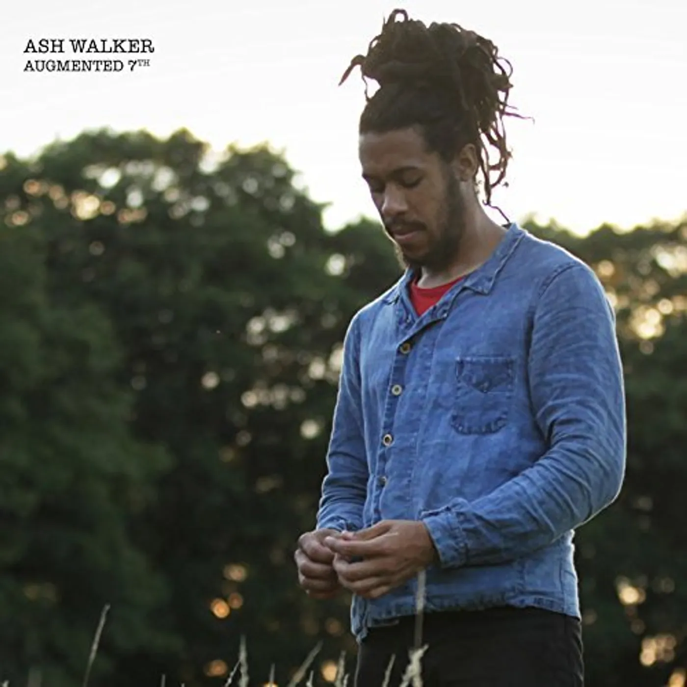 Ash Walker Augmented 7th Vinyl Record