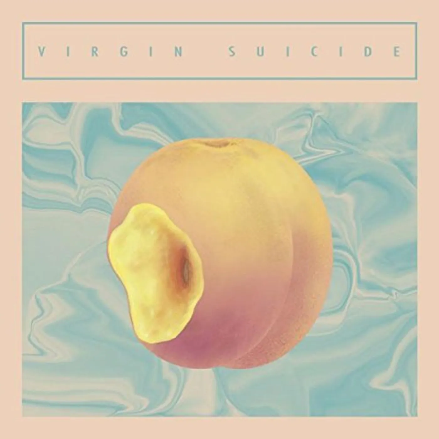 VIRGIN SUICIDE (GER) Vinyl Record