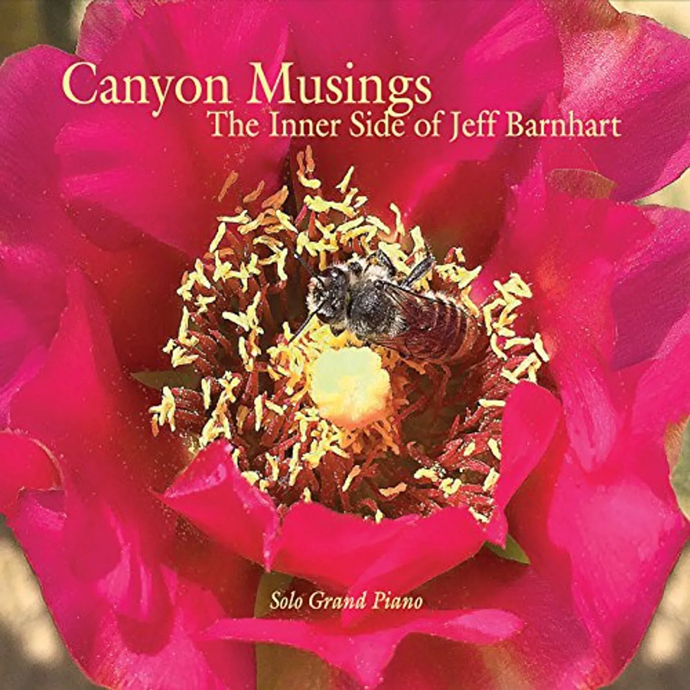 Jeff Barnhart CANYON MUSINGS CD