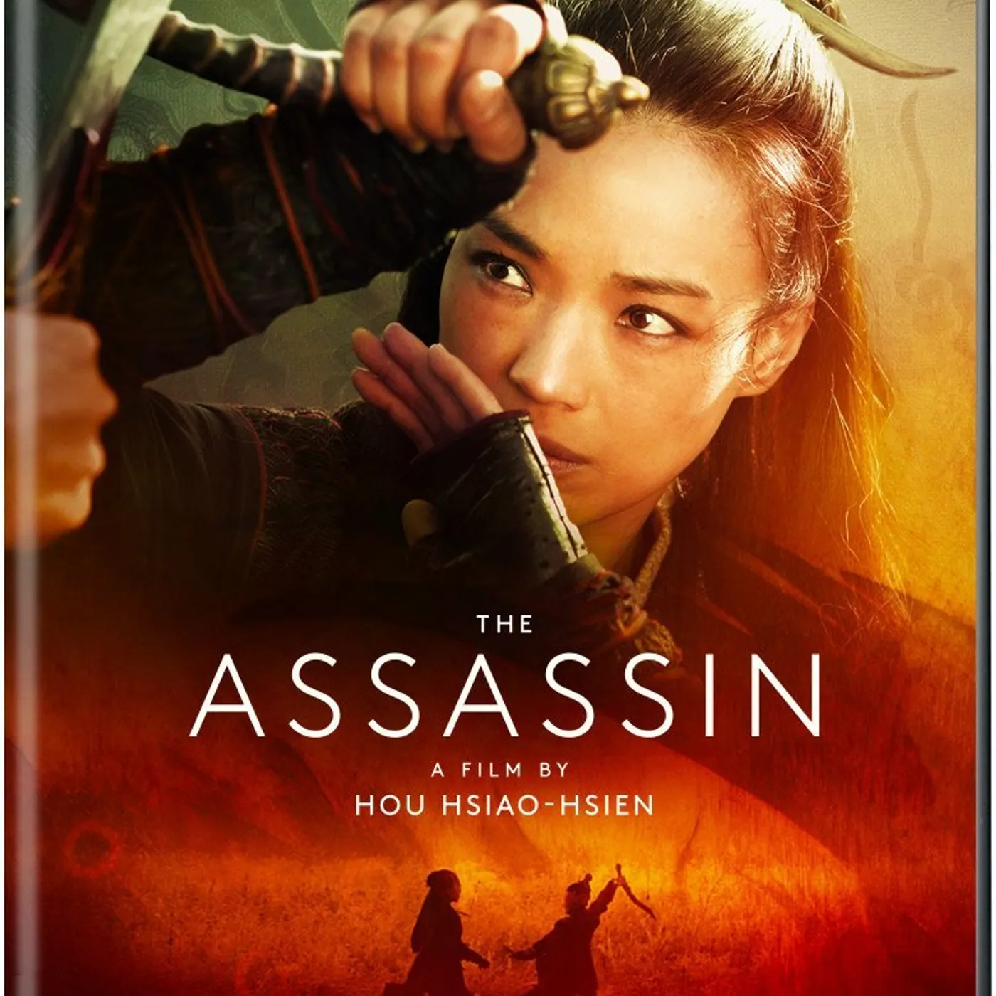 ASSASSIN DVD