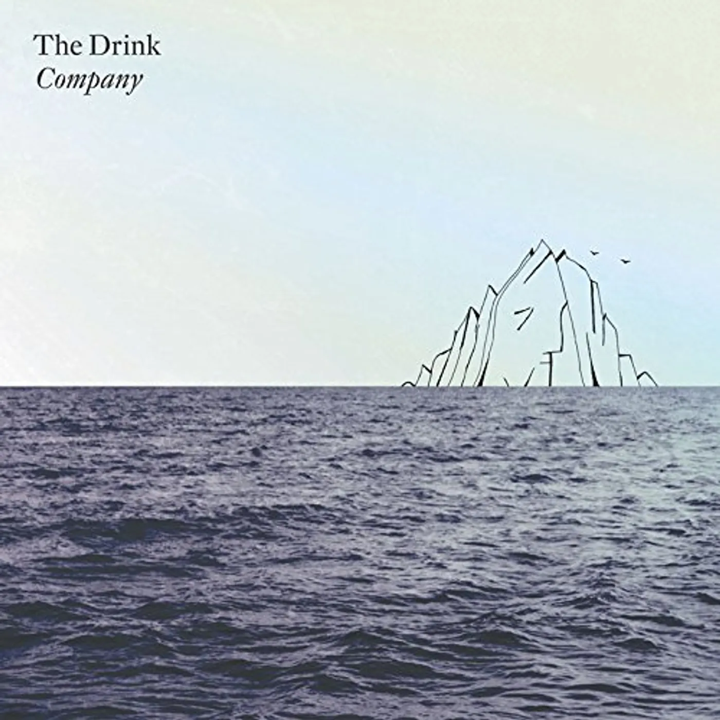 The Drink Company Vinyl Record