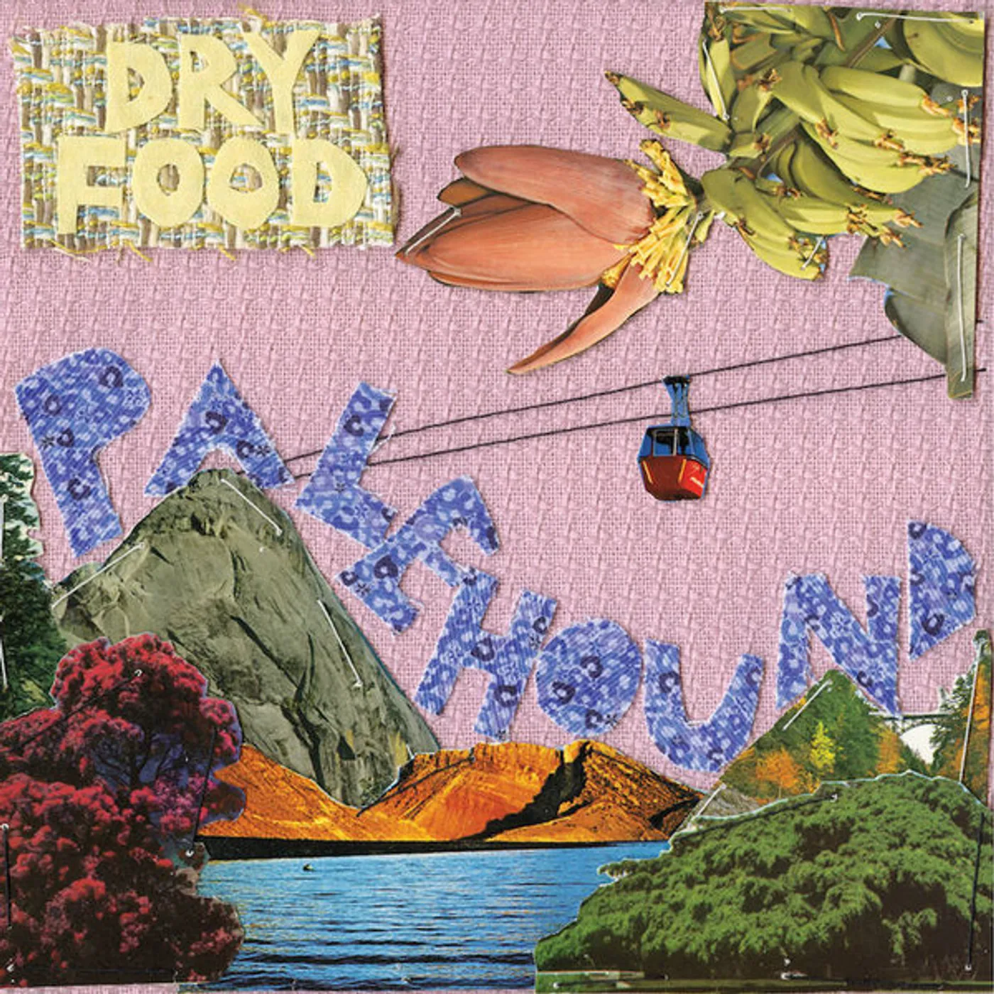 Palehound DRY FOOD Vinyl Record - UK Release