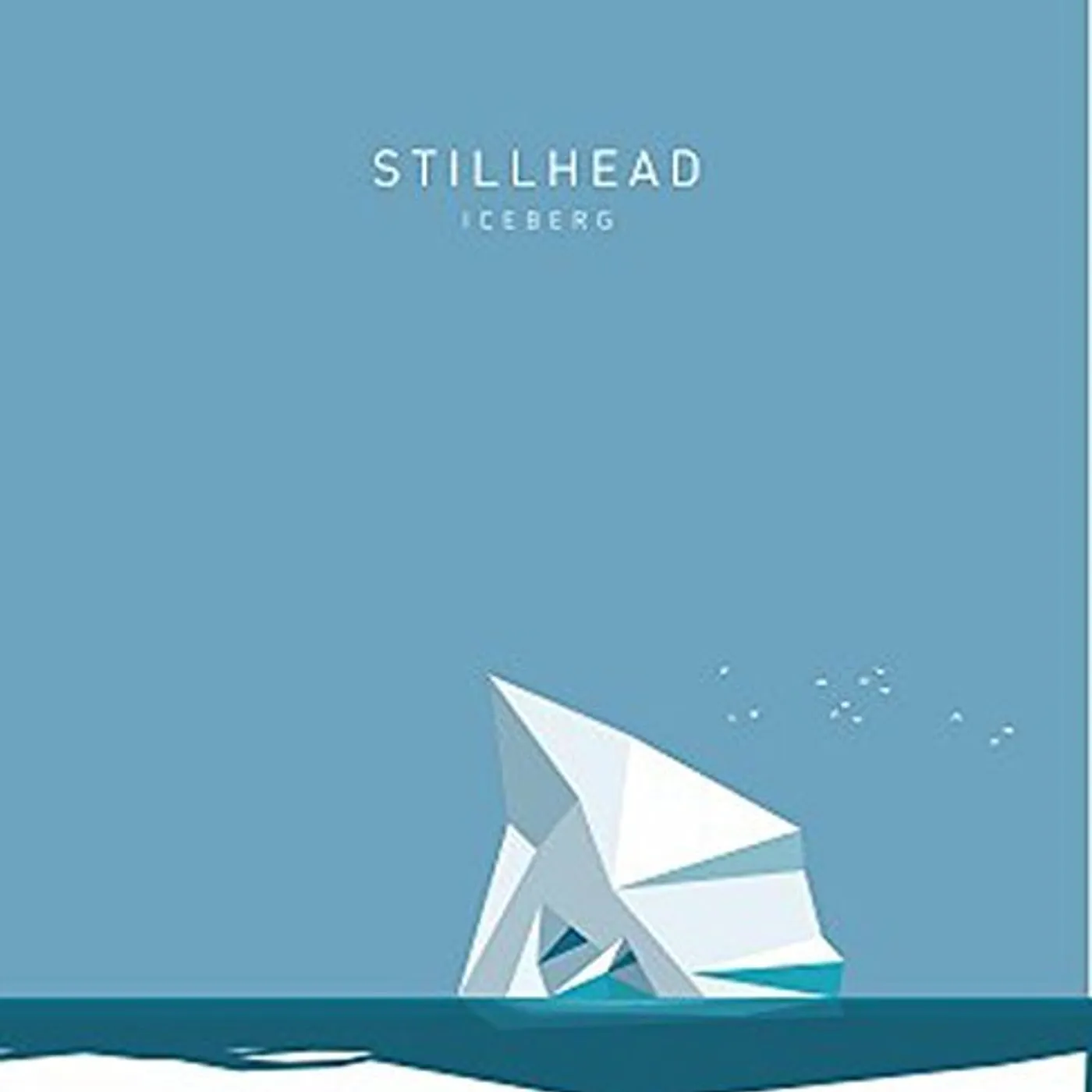 Stillhead Iceberg Vinyl Record
