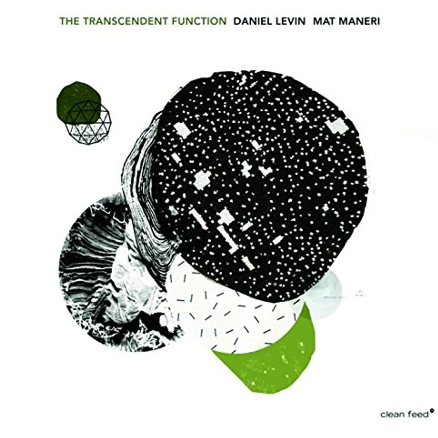 Daniel Levin TRANSCENDENT FUNCTION CD