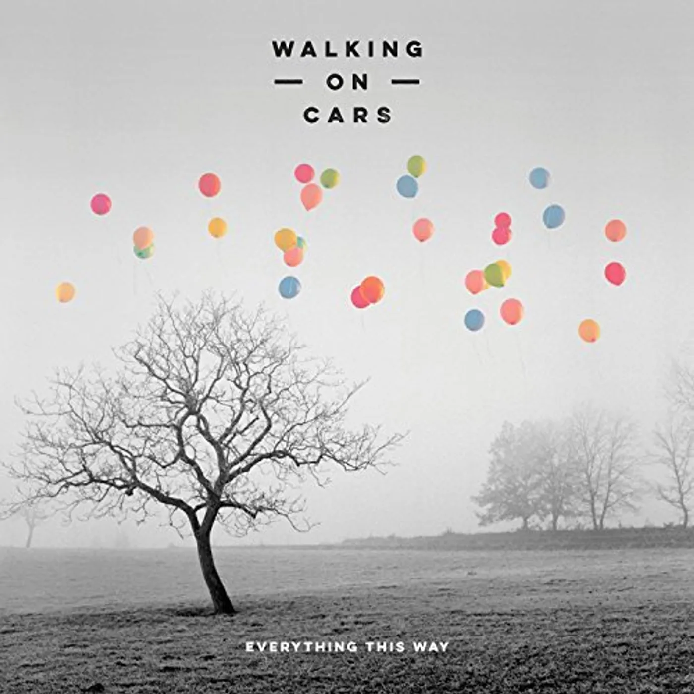 Walking On Cars Everything This Way Vinyl Record