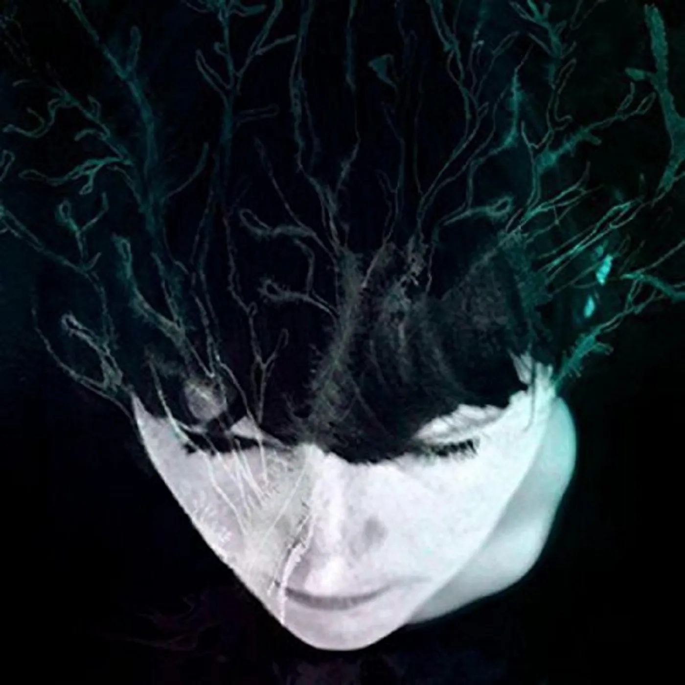 Hanne Kolstø While We Still Have Light Vinyl Record