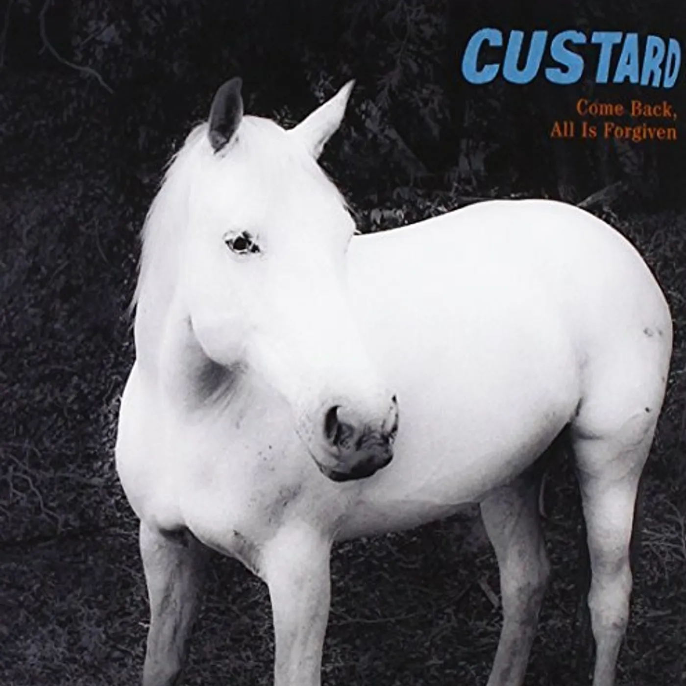 Custard COME BACK ALL IS FORGIVEN CD