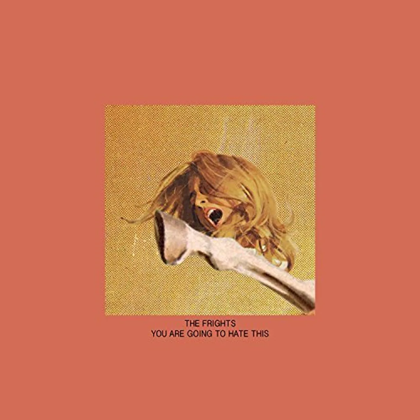 The Frights You Are Going to Hate This Vinyl Record