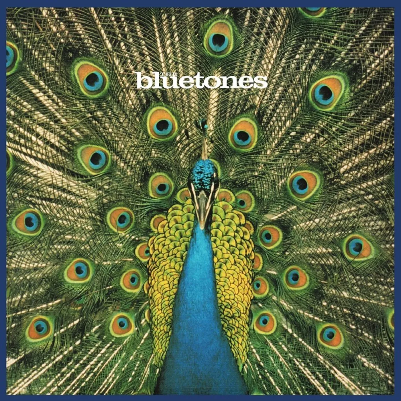 The Bluetones EXPECTING TO FLY: 20TH ANNIVERSARY VINYL EDITION Vinyl Record