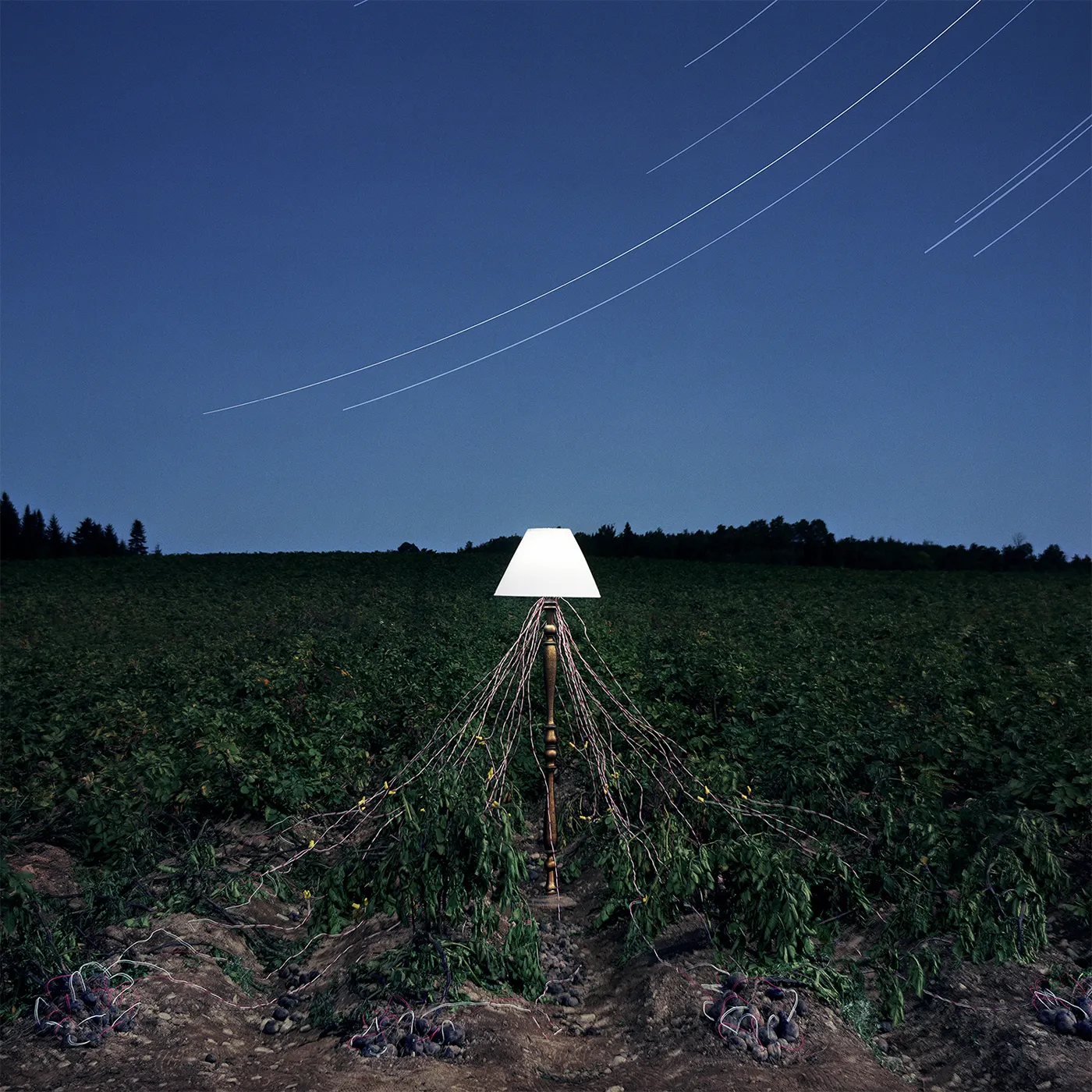 Beacon ESCAPEMENTS CD