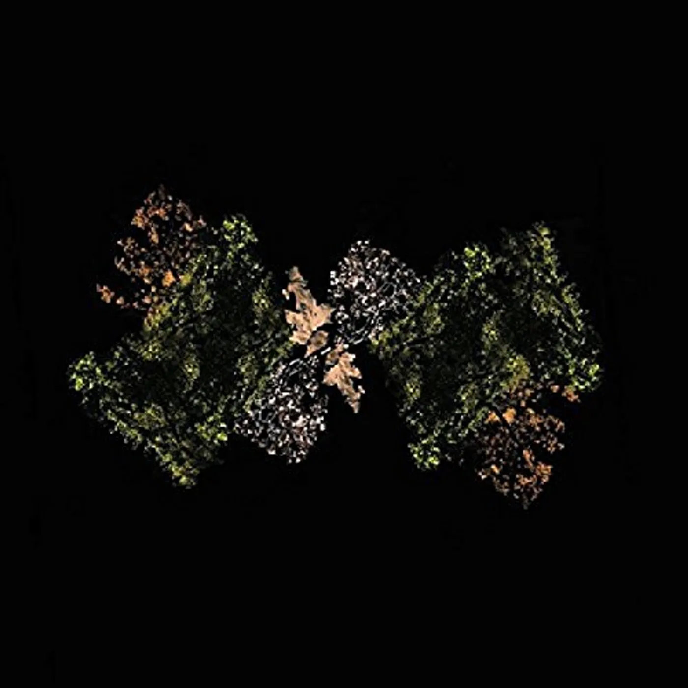 Woodsman Vinyl Record